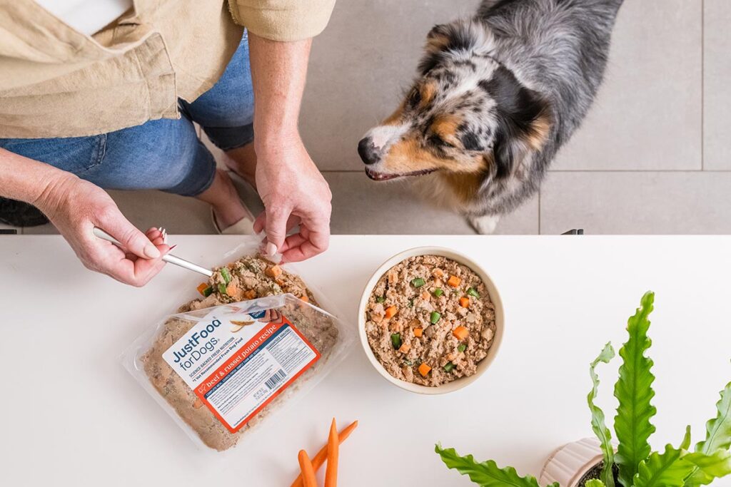 How to Take Care of a Dog: Tips for Pet Parents