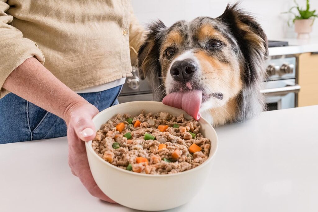 Healthy Fats for Dogs: A Complete Guide