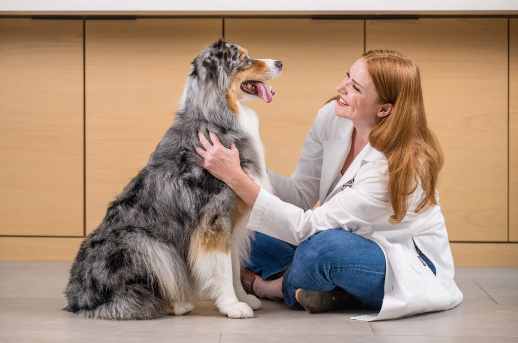 How To Naturally Lower and Balance Calcium Levels In Dogs