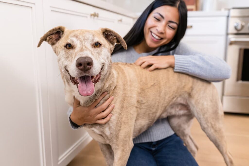 How to Make Your Dog Live Longer: 8 Ways