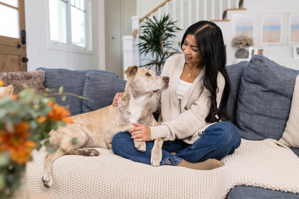 Can Dogs Have Gingerbread? Benefits and Safety Tips