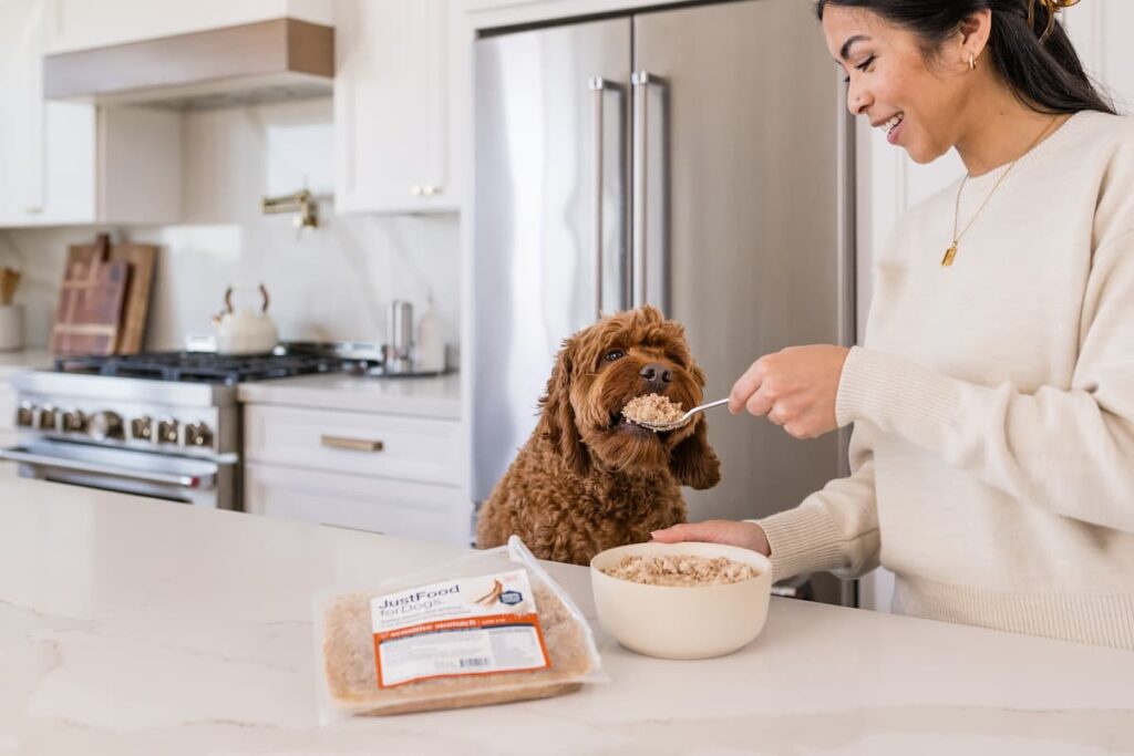 When Does Dog Food Expire? Shelf Life and Storage Tips