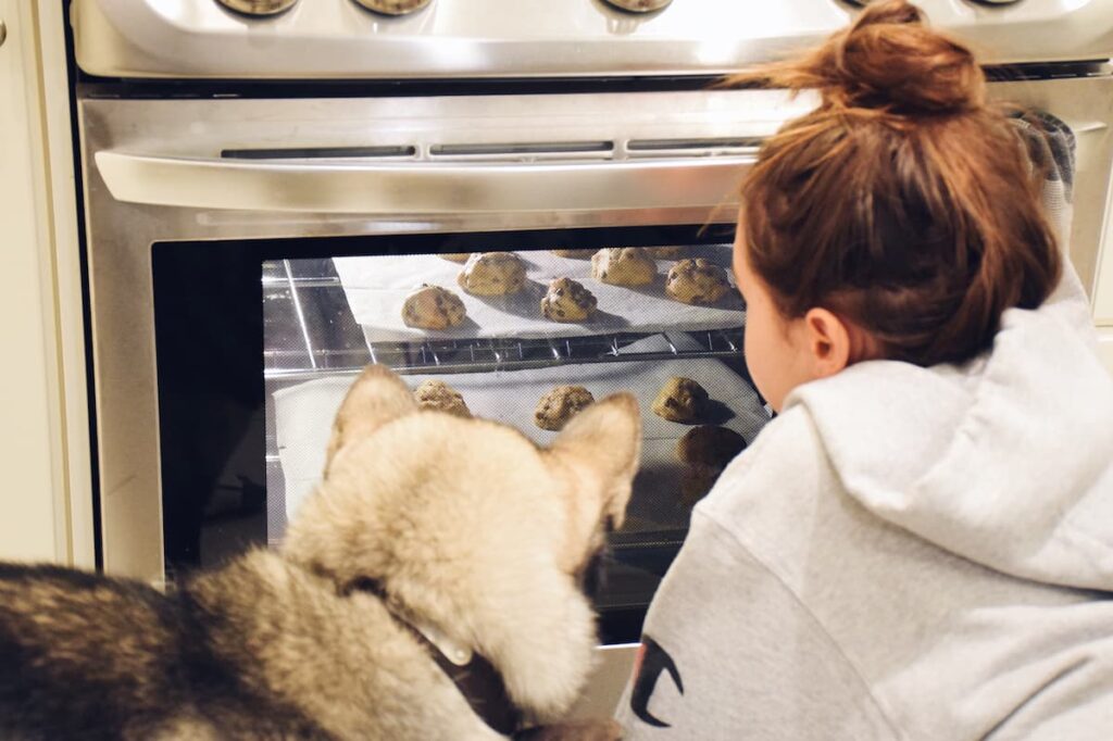 Easy Peanut Butter Dog Treat Recipes