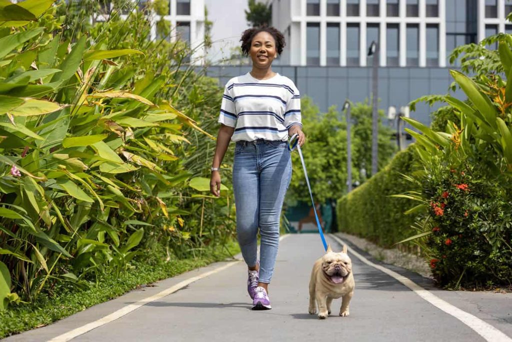 Benefits of Walking Your Dog