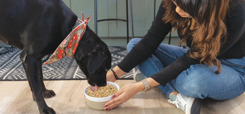 What Is Black Dog Syndrome?