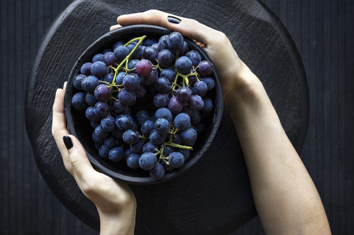 Can dogs eat grapes? A safety guide for owners