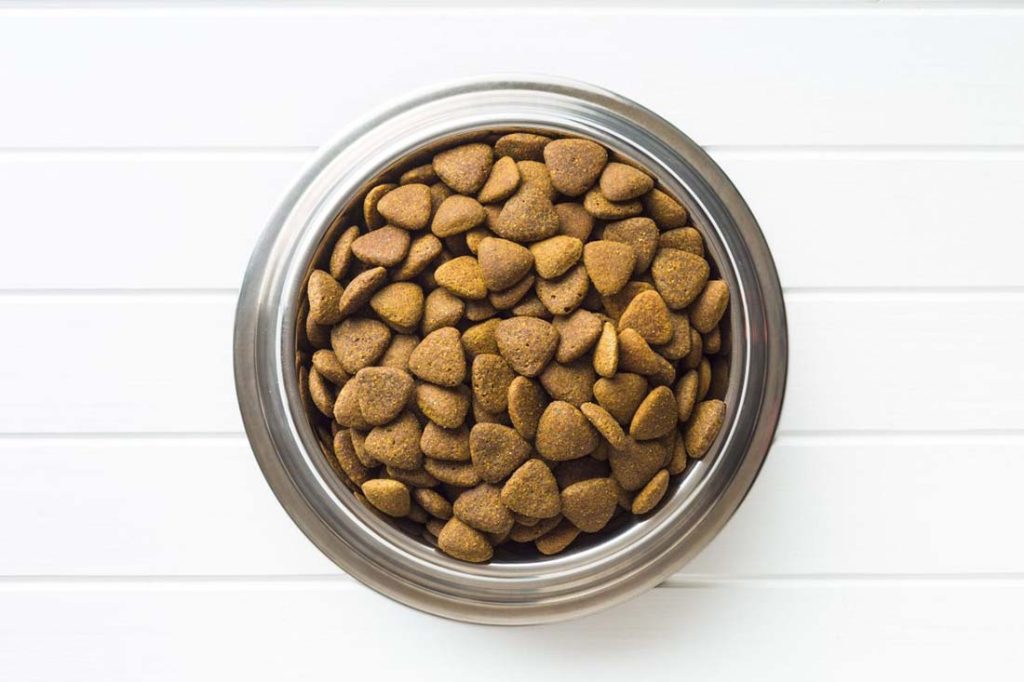 A Brief History of Extruded Dog Food in America