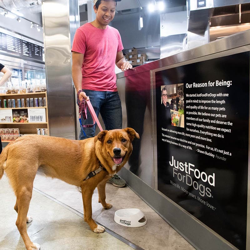 WSAVA Guidelines Explained: How to Choose Dog Food Brands