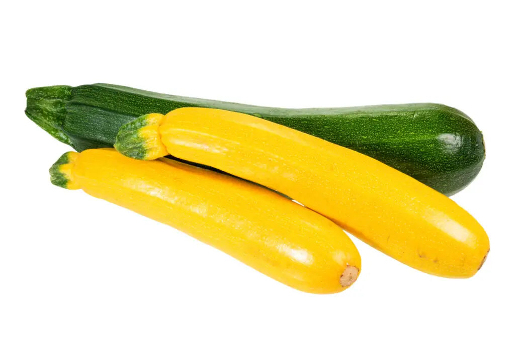 Can Dogs Eat Summer Squash?
