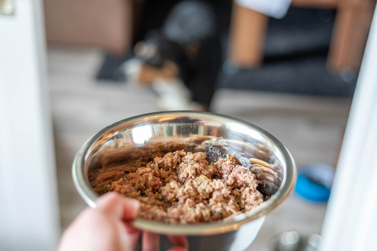 Is Carrageenan Bad for Dogs?