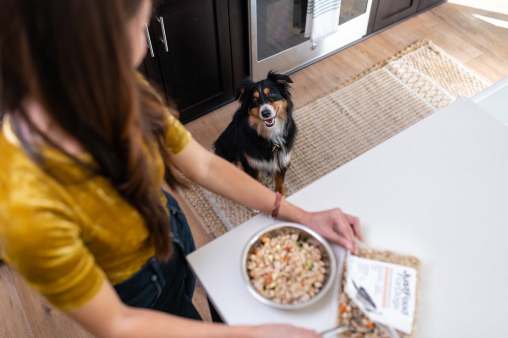 Dog Food For Picky Eaters