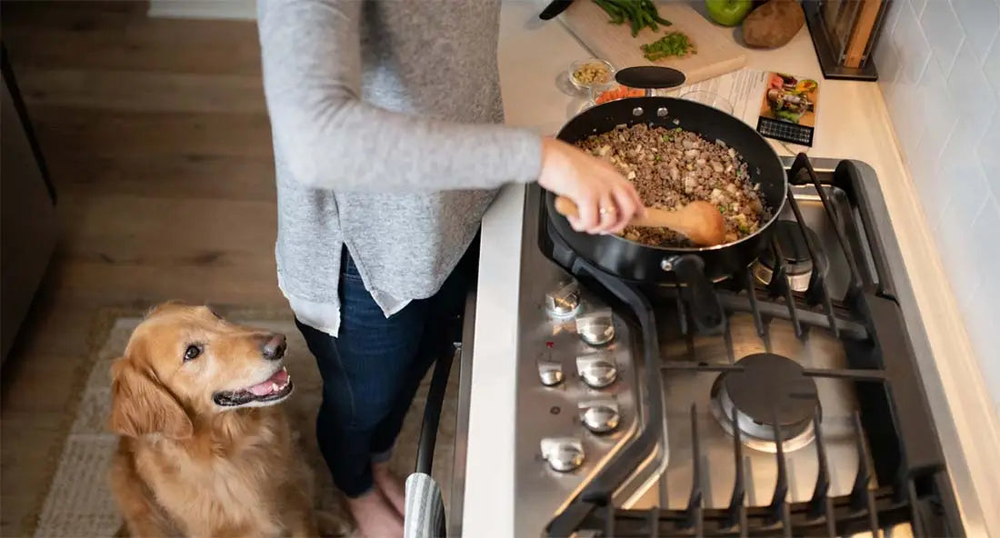 Homemade Chicken & Rice Dog Food Recipe