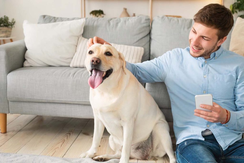 This Is Why Your Lab Is Overweight