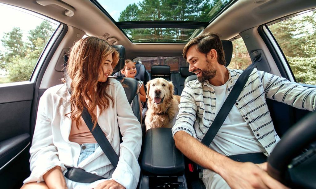 5 Tips for Traveling With Dogs Long Distance by Car