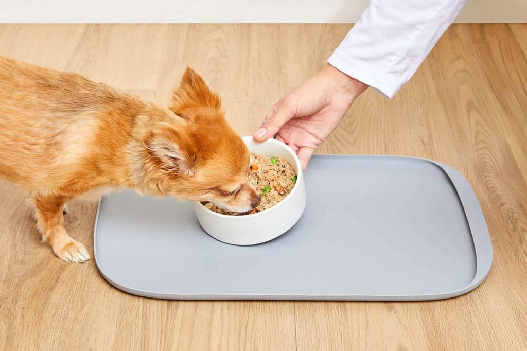 How to Get Your Dog to Eat Slower