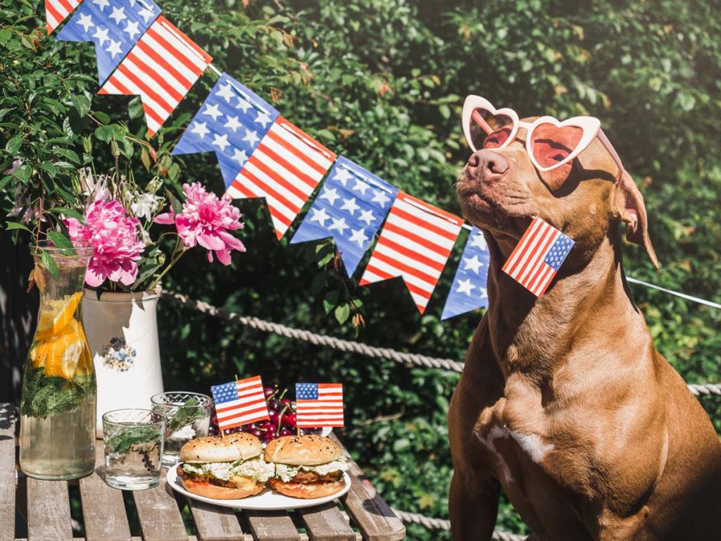 5 Ways to Calm Dogs During Fireworks & Thunderstorms
