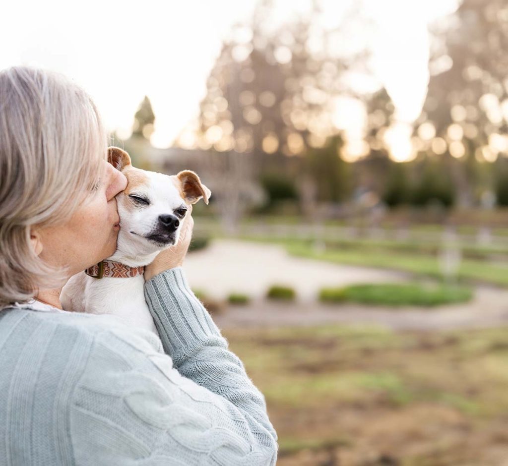 Canine Cognition: How Do Dogs Think? 