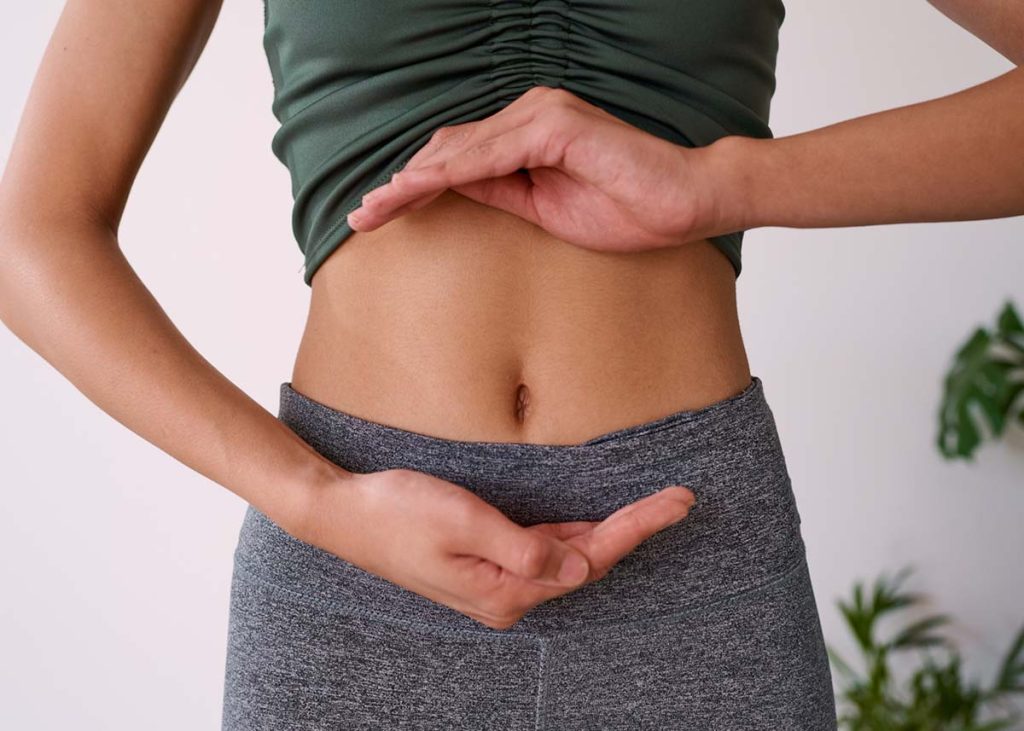 The Dog Microbiome: How Gut Health Impacts Your Dog’s Well-being