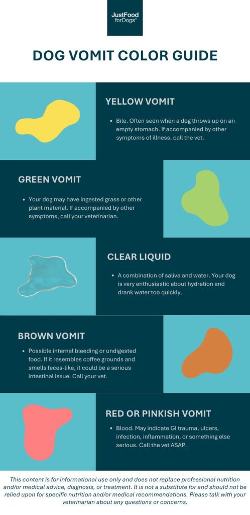 Dog Vomit Color Guide
