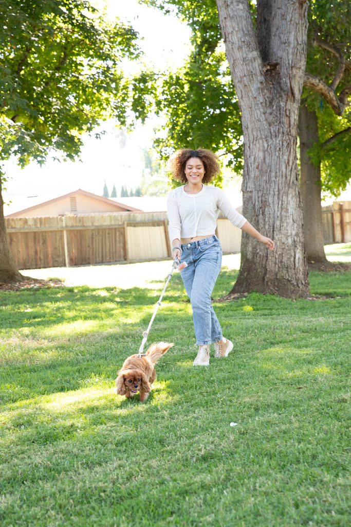Sniff Walks for Dogs
