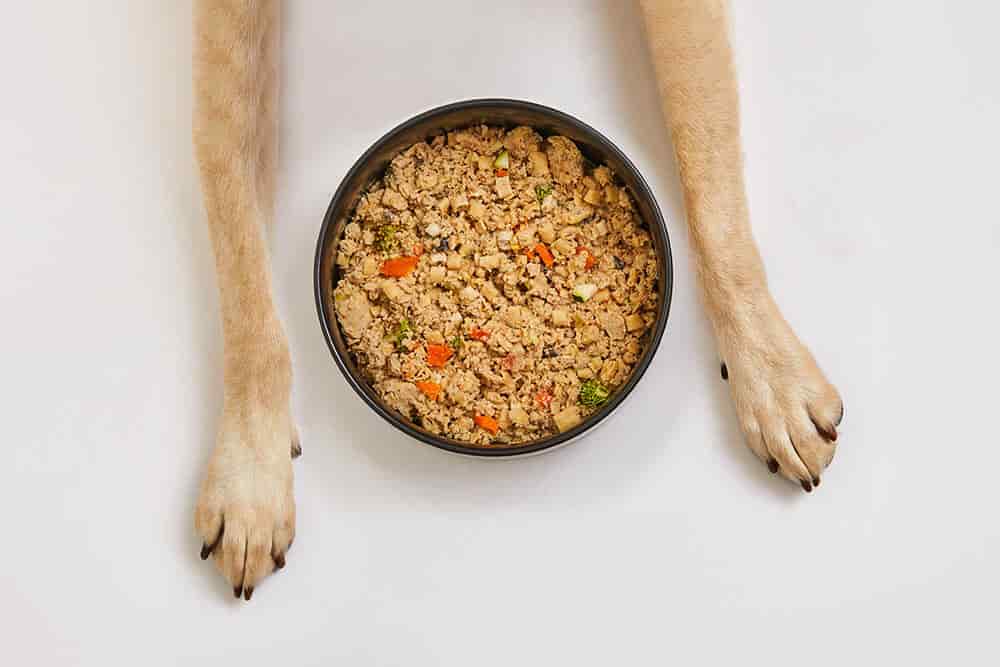 6 Simple ways on how to clean dog paws