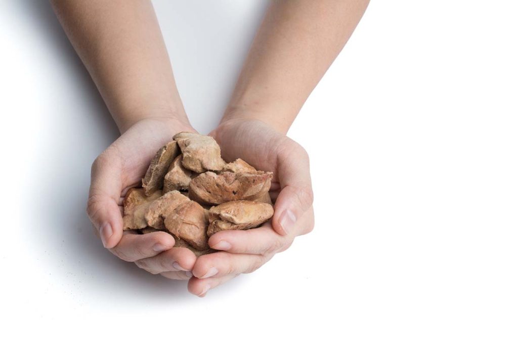 Is Dehydrated Dog Food Good for Dogs?