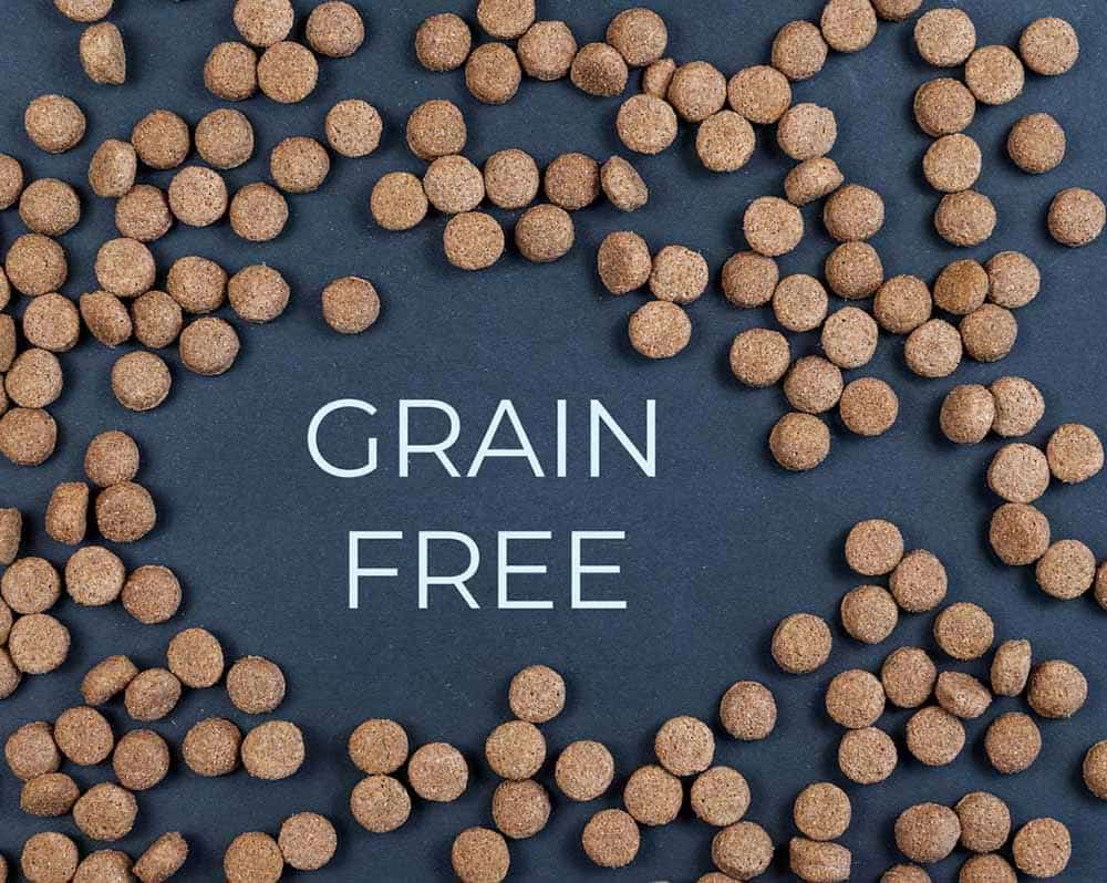 A Veterinarian’s Take on Grain Free Dog Food