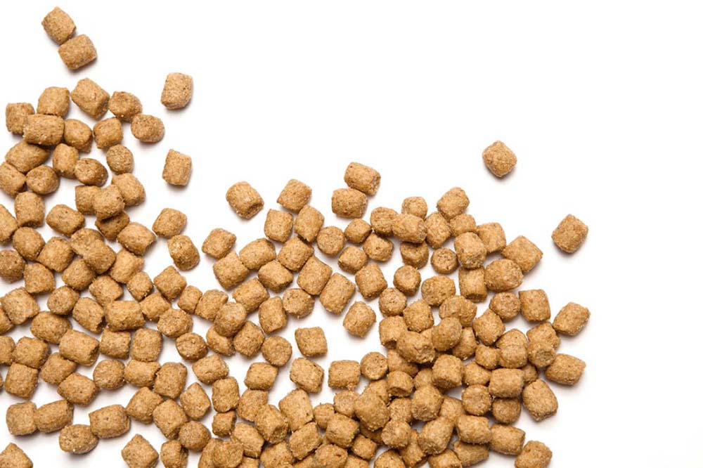 What is ethoxyquin in dog food?