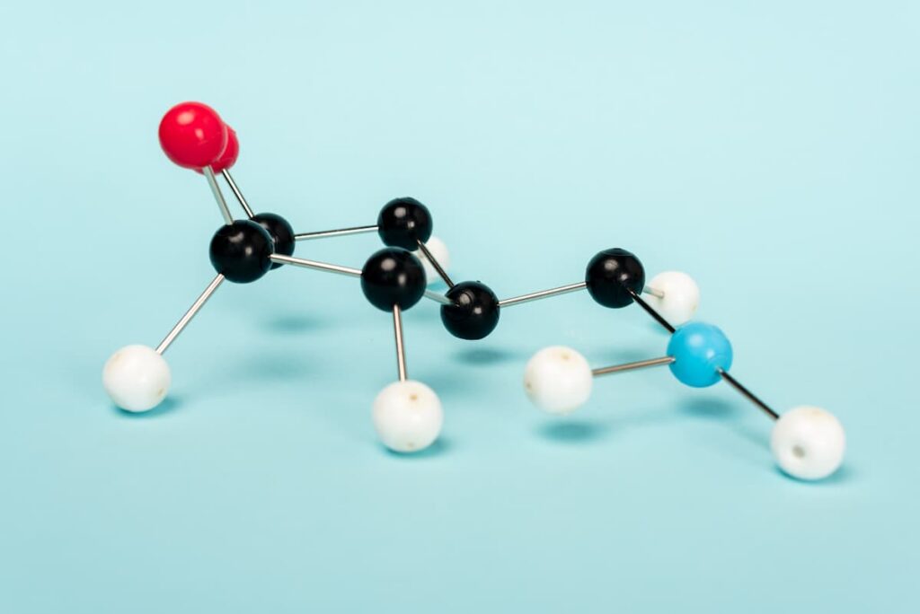 Taurine in Dogs’ Food: How Important Is It?