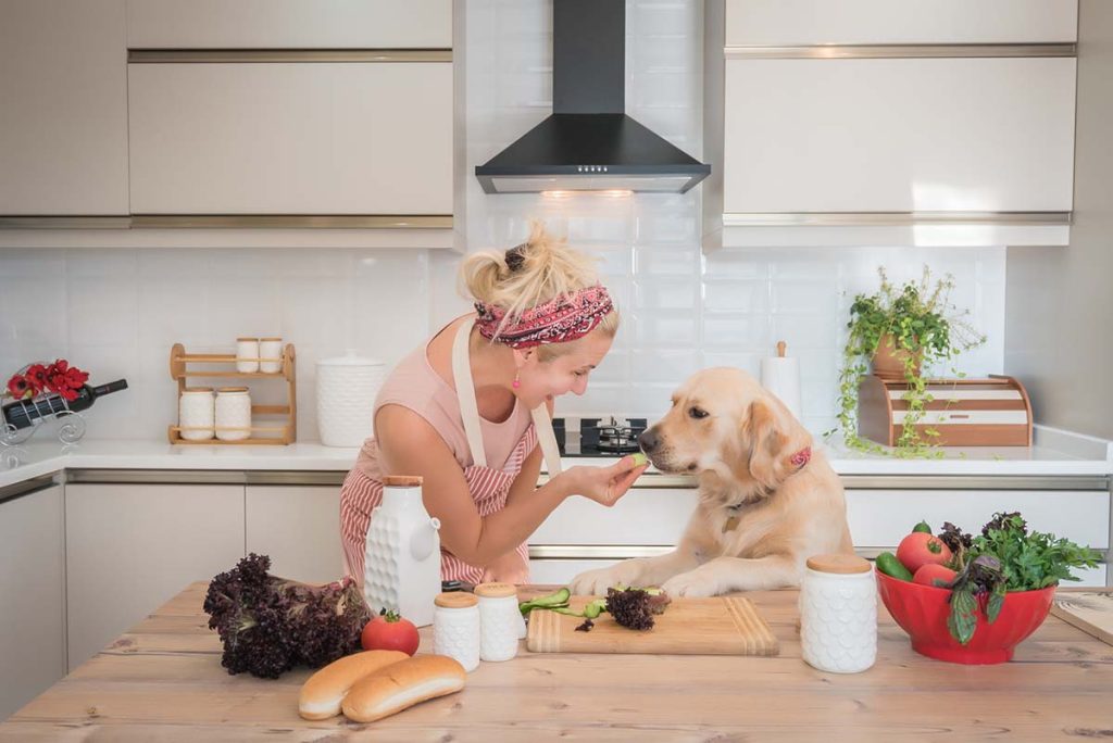 Vet-Approved Homemade Dog Food Recipes