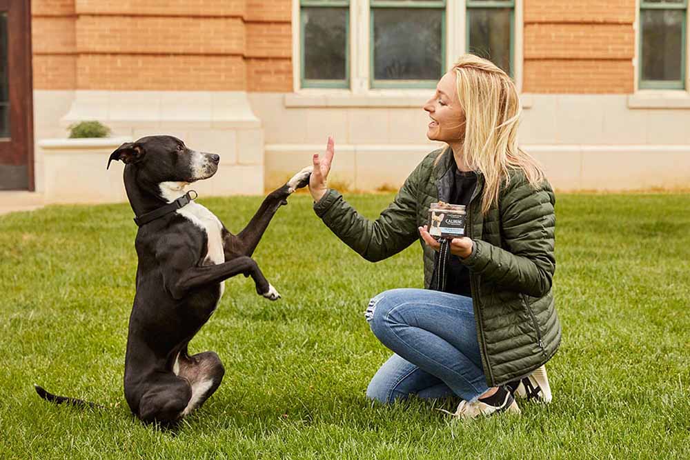 Can Dogs Understand Human Emotions? The Science Behind Your Dog’s Big Heart