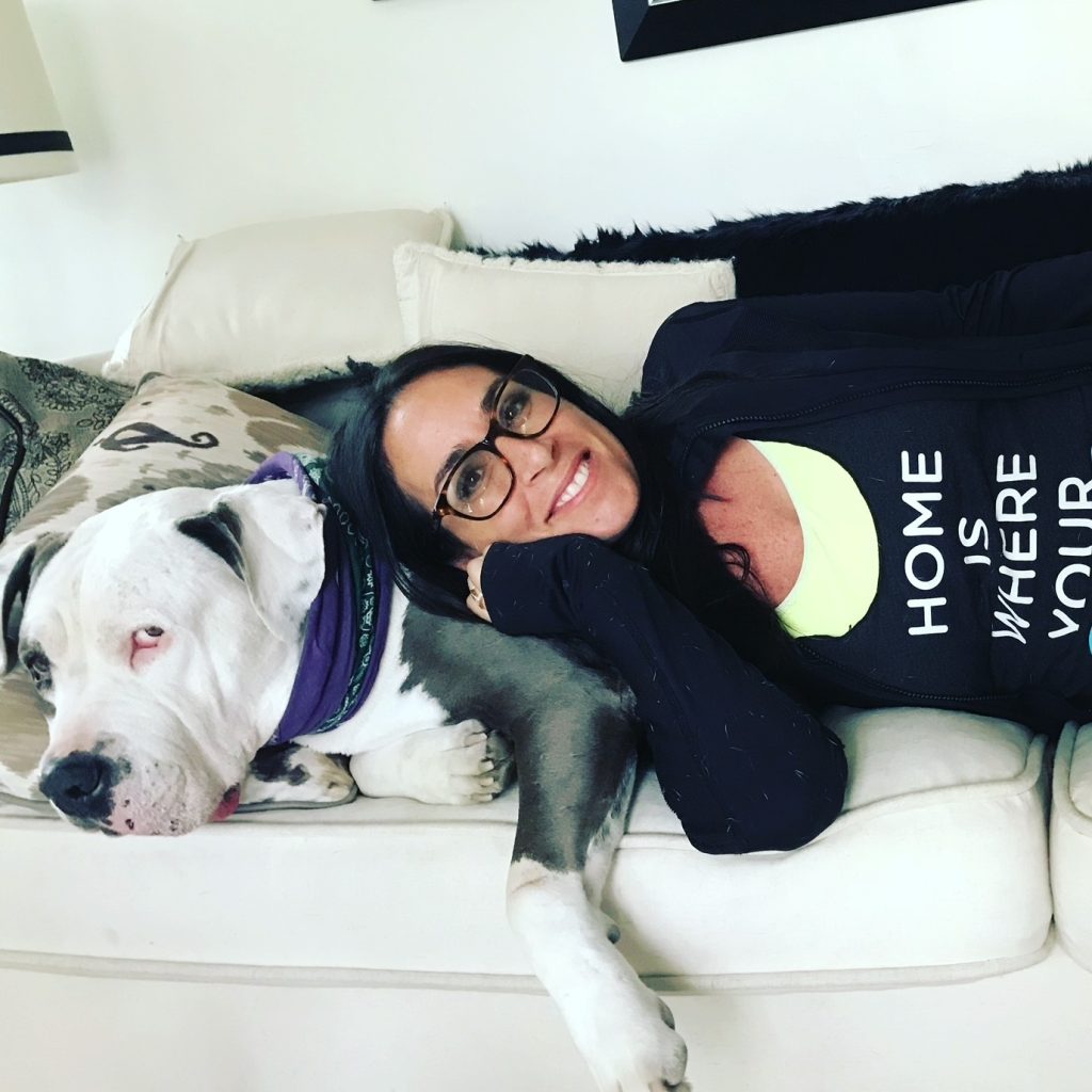 AP Rescue Partner Spotlight: Wags & Walks