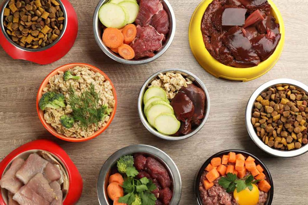 Gently Cooked Dog Food