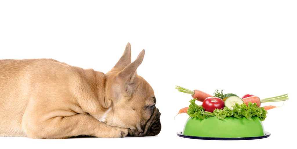 Fiber for Dogs: Benefits, Sources, and How Much They Need