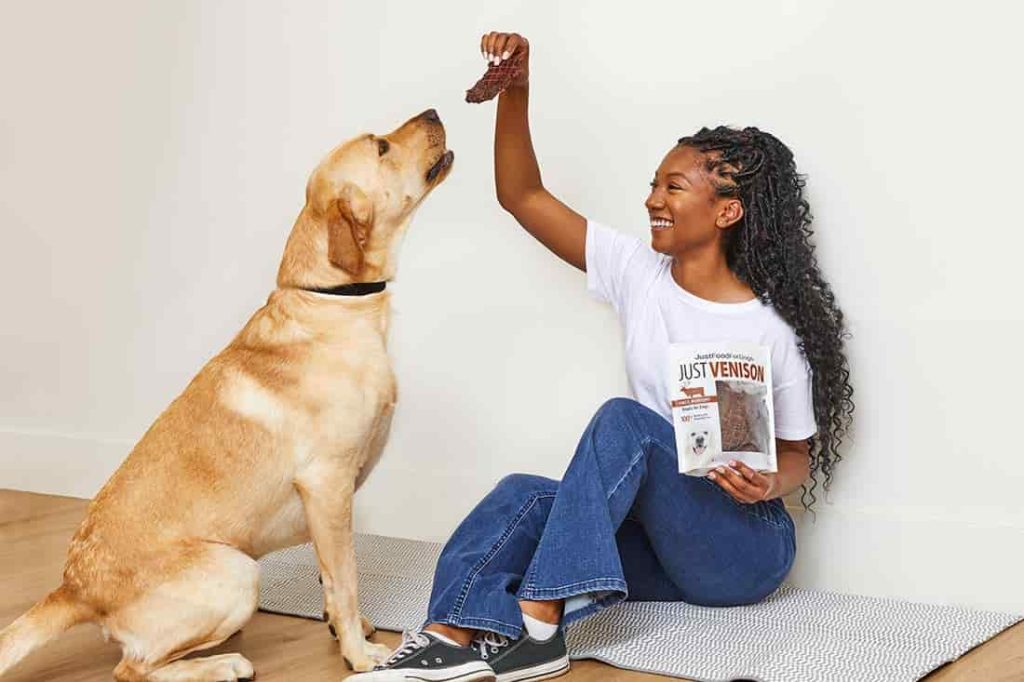 Can Dogs Taste Food?