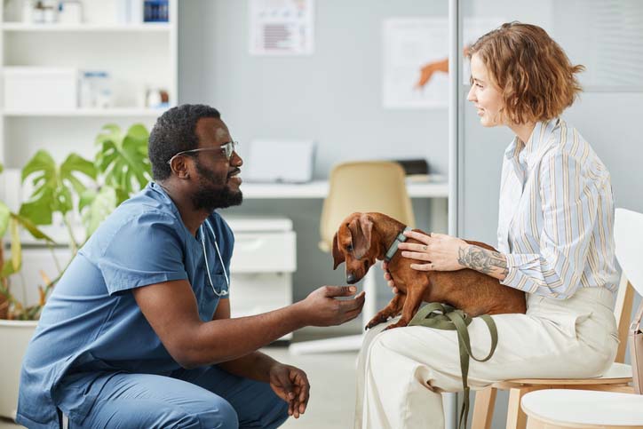 Dog Elbow Callus: Are They Normal?