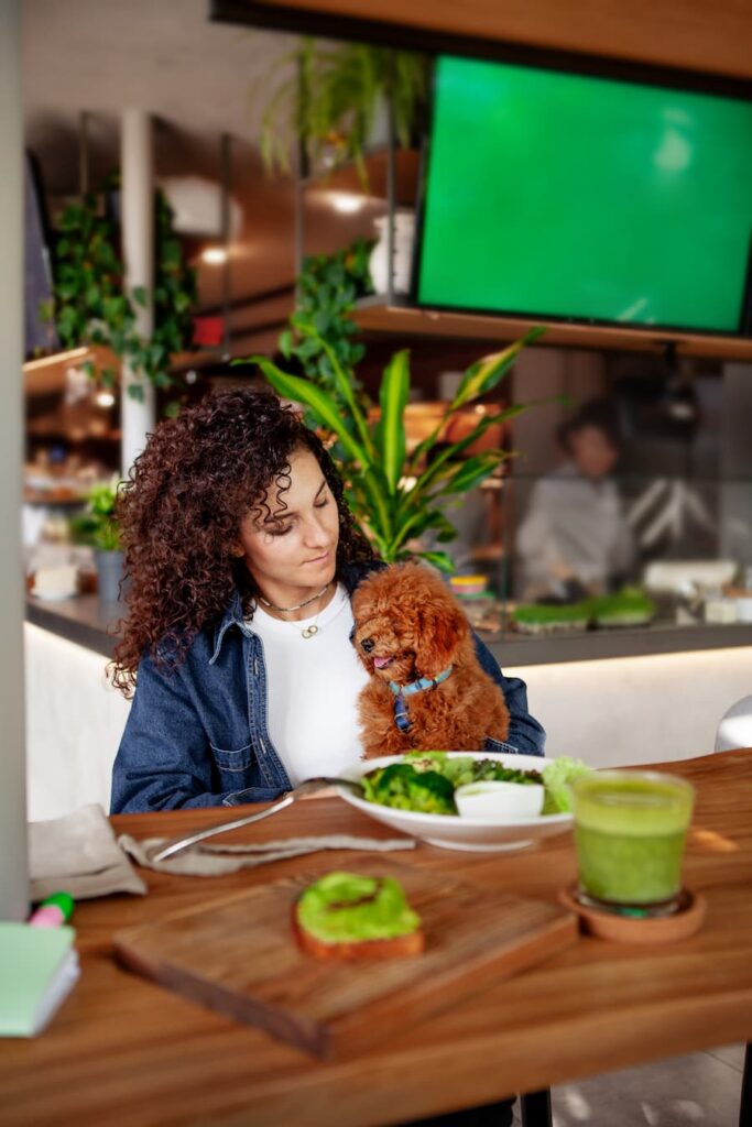 Can dogs eat avocado? Vet-backed safety guide for dogs
