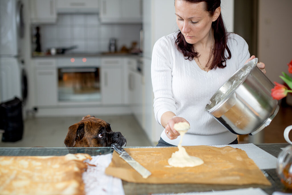 Herbs & Spices: What Seasonings Can Dogs Have?