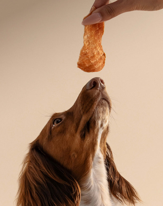 Treats
