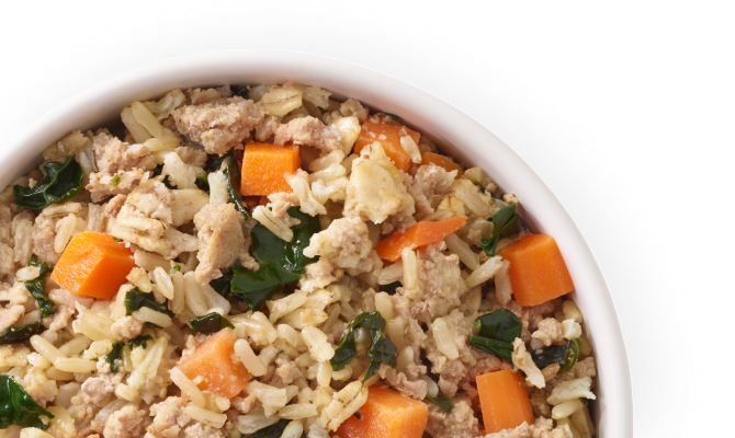 Just Food For Dogs