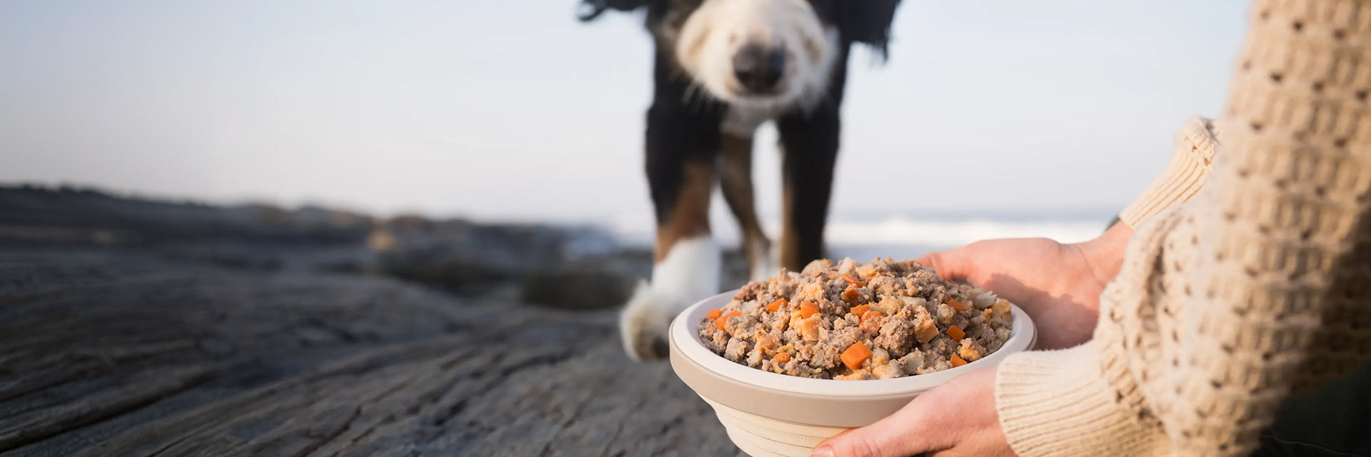 Picky Eaters – JustFoodForDogs