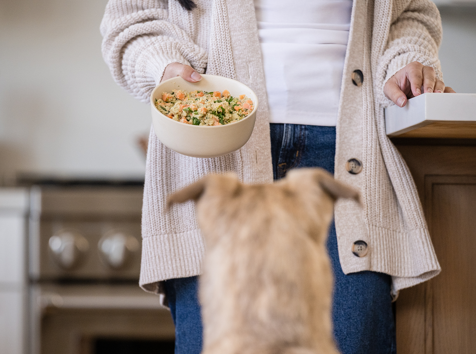 Just Food For Dogs