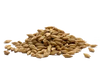 Barley