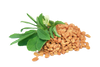 Fenugreek