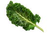 Kale