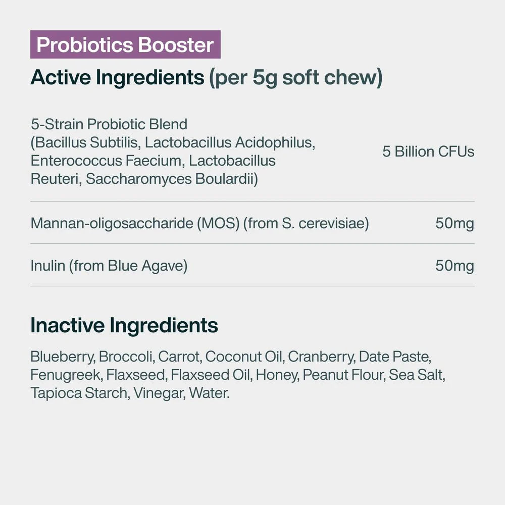 Gut-Friendly Favorites Bundle