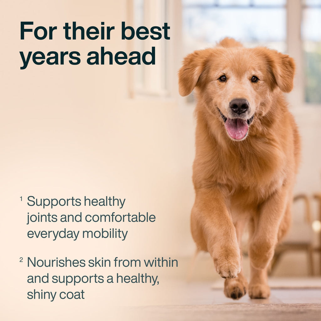 Joint & Skin Support