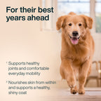 Joint & Skin Support
