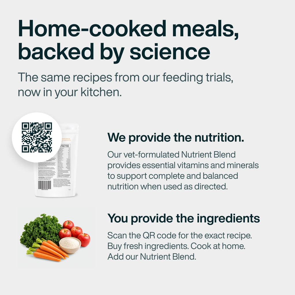 Do It Yourself Nutrient Blend for Turkey & Whole Wheat Macaroni