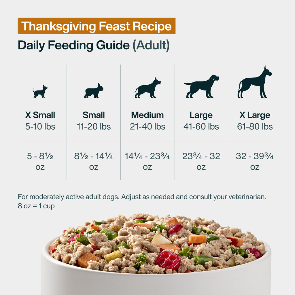 Thanksgiving Feast – Limited Edition
